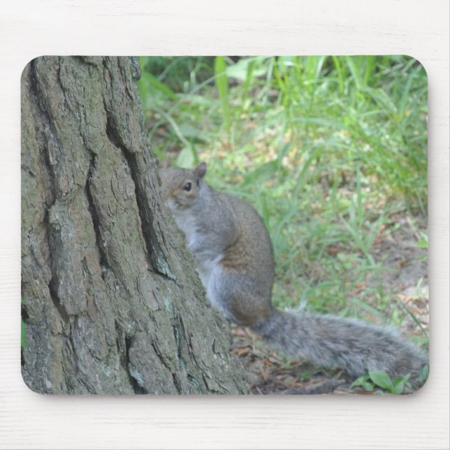 Mousepad Esquilo "Peek A Boo" - (Frente)