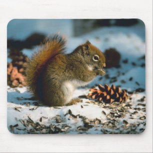 Mousepad Esquilo Perfurado Vermelho