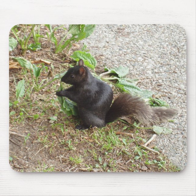 Mousepad Esquilo Preto (Frente)