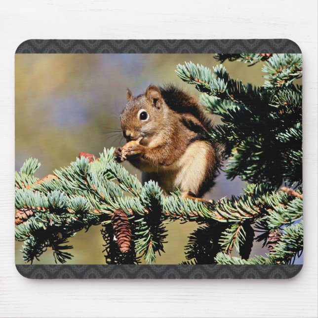 Mousepad Esquilo vermelho (Frente)