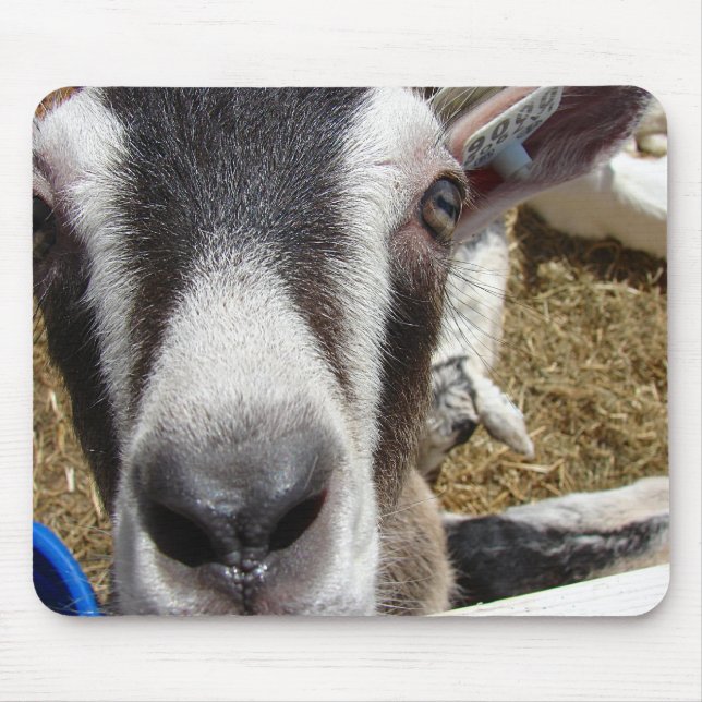 Mousepad Essa É A Comida Da Câmera? (Frente)