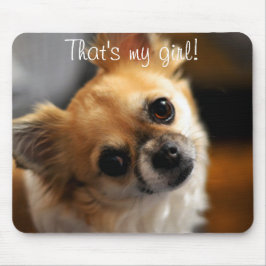 Mousepad Esse é o meu amigo do rato Chihuahua