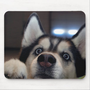 Mousepad Está qualquer um para fora lá?