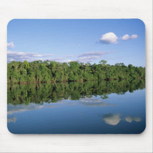 Mousepad Estado do Mato Grosso, Amazônia, Brasil. Florestad