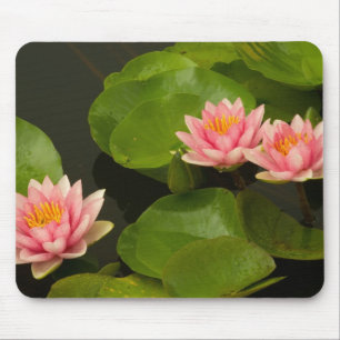Mousepad Estados Unidos, DC, Washington, Kenilworth 4