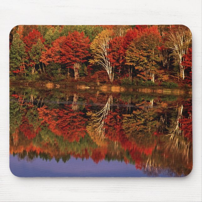 Mousepad Estados Unidos, Michigan, Península Superior.Queda (Frente)