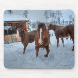 Mousepad Estalhão Amoroso Engraçado e Cavalos Mare Relutant