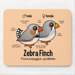 Mousepad Estatísticas do passarinho de zebra