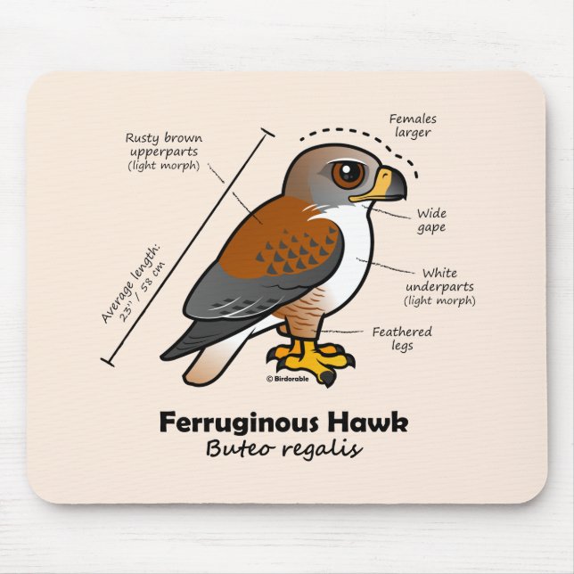 Mousepad Estatísticas Ferruginous do falcão (Frente)