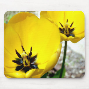 Mousepad Esteira amarela do rato da tulipa
