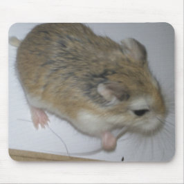 Mousepad Esteira do hamster