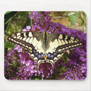 Mousepad Esteira do rato da borboleta de Swallowtail