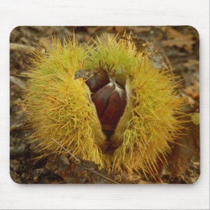 Mousepad Esteira do rato da castanha