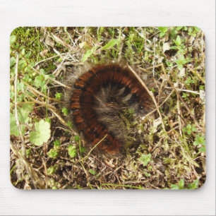 Mousepad Esteira do rato de Caterpillar da traça do Fox