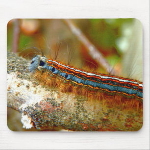Mousepad Esteira do rato de Caterpillar da traça do lacaio