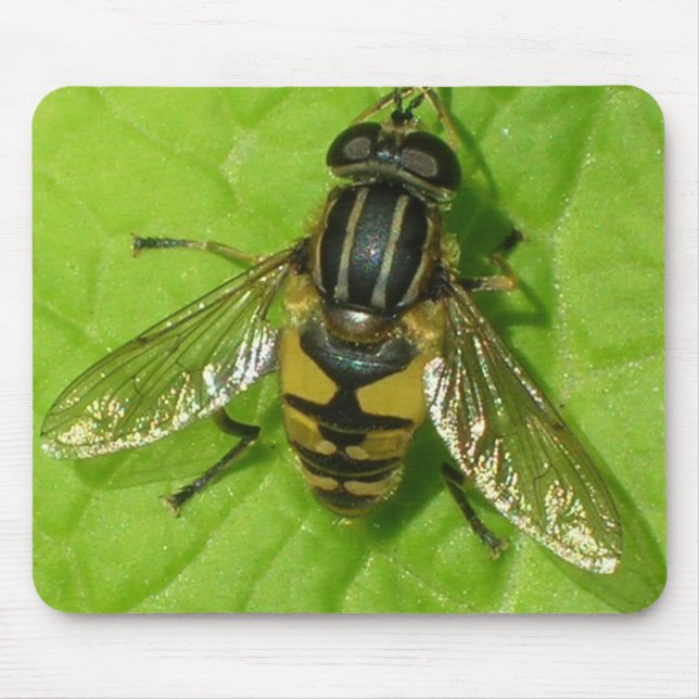 Mousepad Esteira do rato de Hoverfly (Frente)