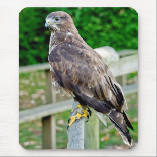 MOUSEPAD ESTEIRA DO RATO DO BUZZARD