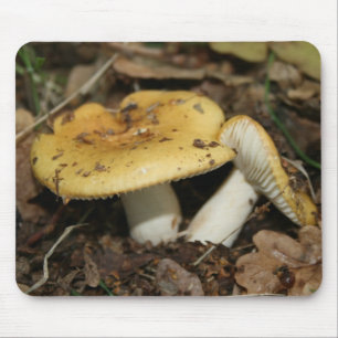 Mousepad Esteira do rato do cogumelo