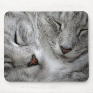 Mousepad Esteira do rato do gato da floresta