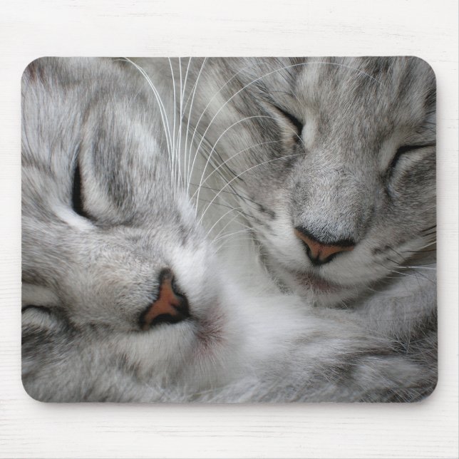 Mousepad Esteira do rato do gato da floresta (Frente)