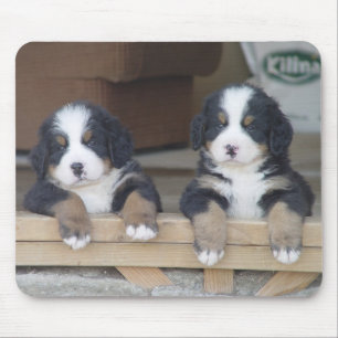 Mousepad Esteira do rato dos filhotes de cachorro do cão d