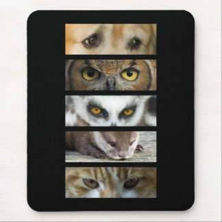 Mousepad Esteira do rato - olhos dos animais