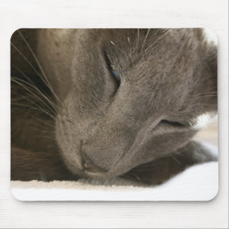 Mousepad Esteira oriental do rato do gato de Shorthair