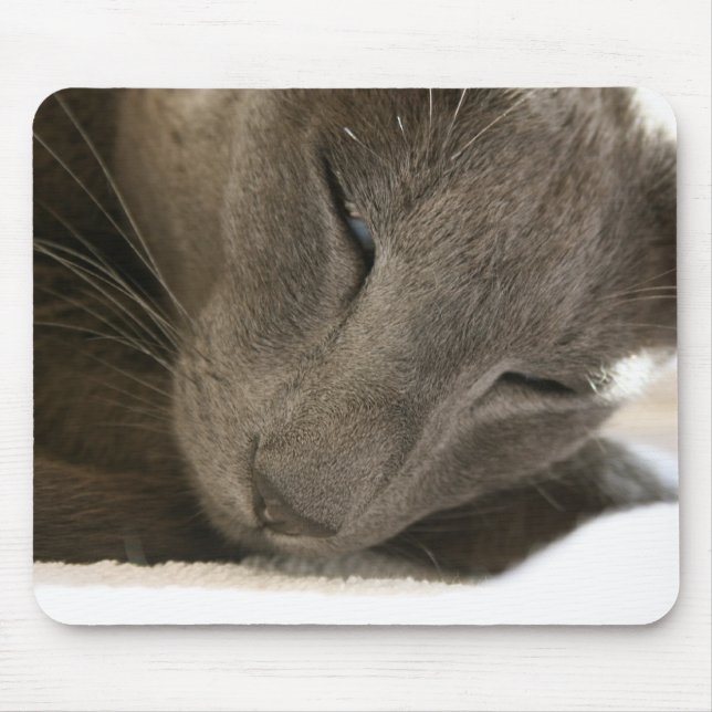 Mousepad Esteira oriental do rato do gato de Shorthair (Frente)