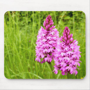 Mousepad Esteira piramidal do rato da orquídea