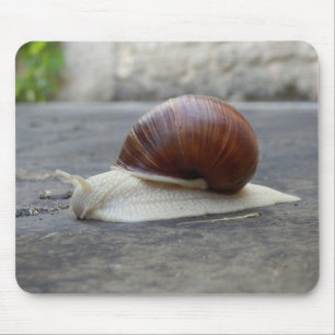 Mousepad Esteira romana do rato do caracol