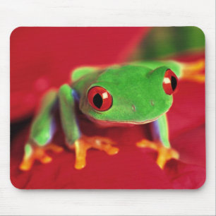Mousepad Esteira verde-clara do rato do sapo