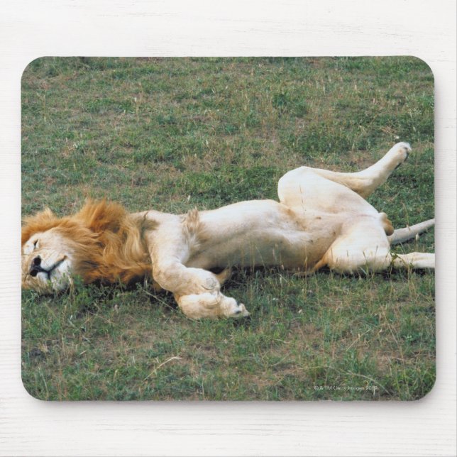 Mousepad Esticamento do Leão Masculino (Frente)