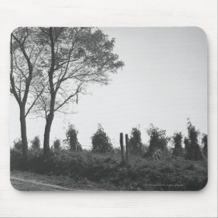 Mousepad Estrada de terra pelo campo B&W