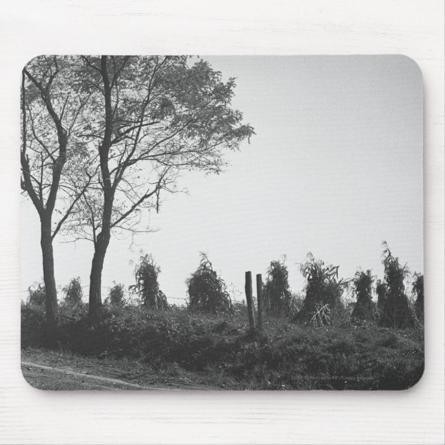 Mousepad Estrada de terra pelo campo B&W (Frente)