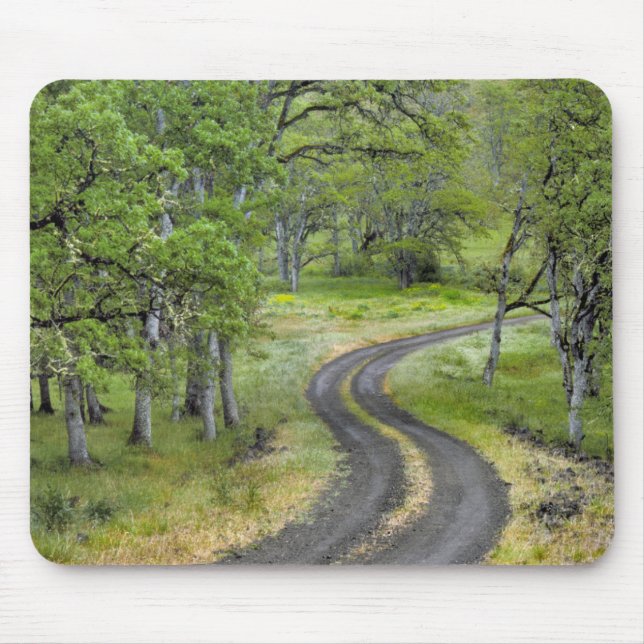 Mousepad Estrada rural através de árvores, Oregon (Frente)
