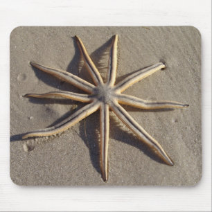 Mousepad Estrela do mar 9 equipada com pernas