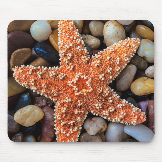 Mousepad Estrela do mar em rochas (Frente)
