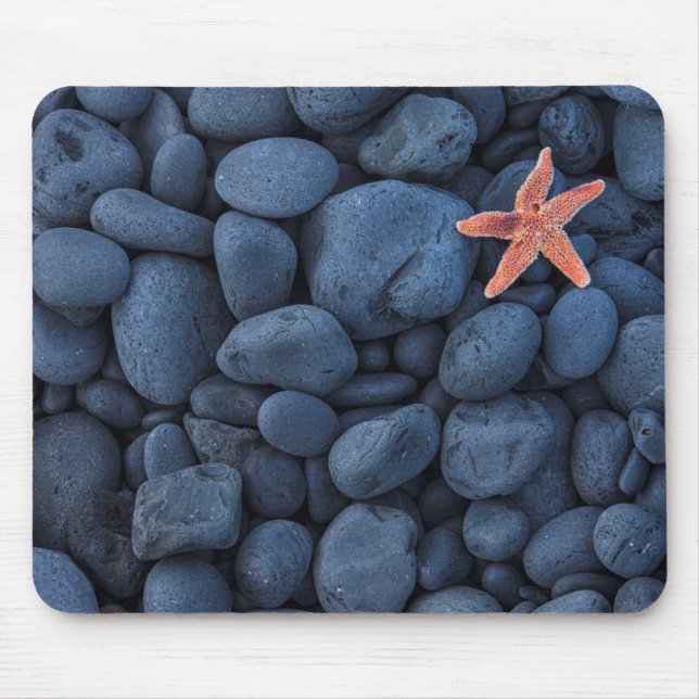 Mousepad Estrela do mar em rochas pretas ao longo da costa (Frente)