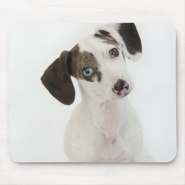 Mousepad Estrelando fêmea Dachshund/Chihuahua (Frente)