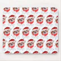 Estrelas de Natal do Cachorro Japonês