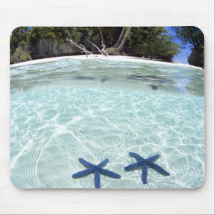 Mousepad Estrelas marinhas, Ilhas Rock, Palau 2