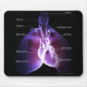 Mousepad Estrutura do coração e dos pulmões
