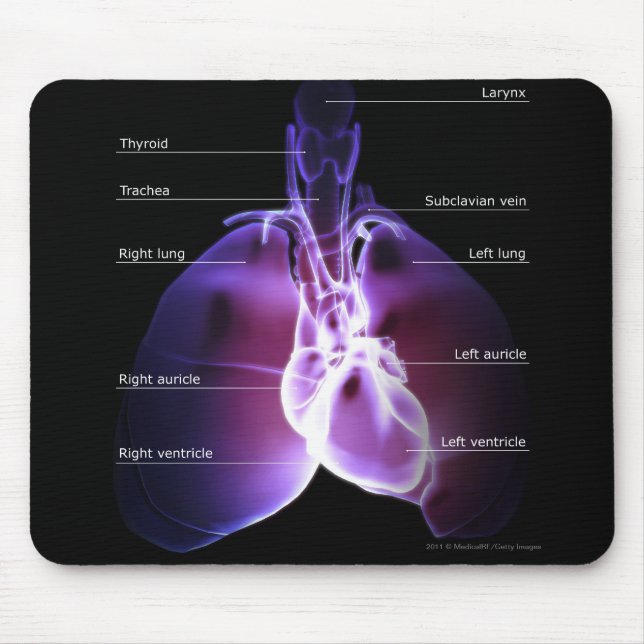 Mousepad Estrutura do coração e dos pulmões (Frente)