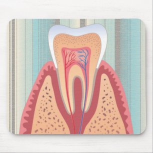 MOUSEPAD ESTRUTURA DO TOOTH