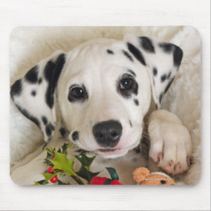 Mousepad estúdio