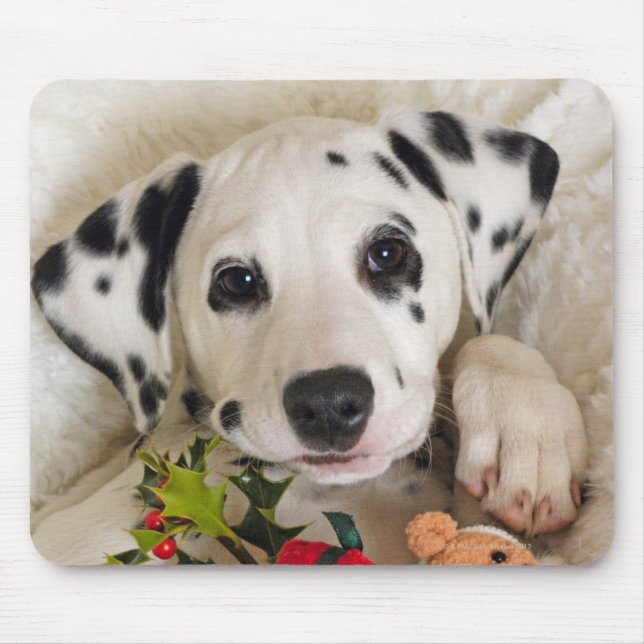 Mousepad estúdio (Frente)