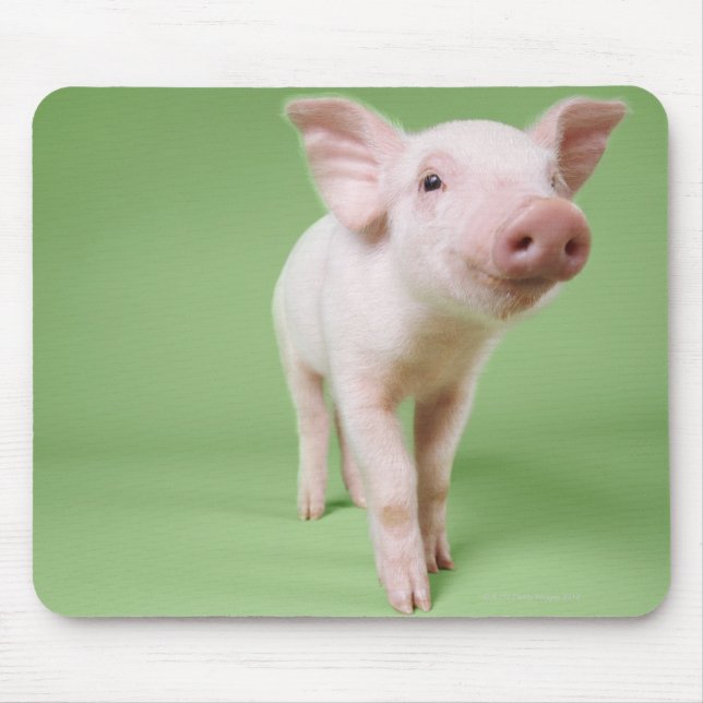 Mousepad Estúdio Cortado de Piglet em Pé (Frente)