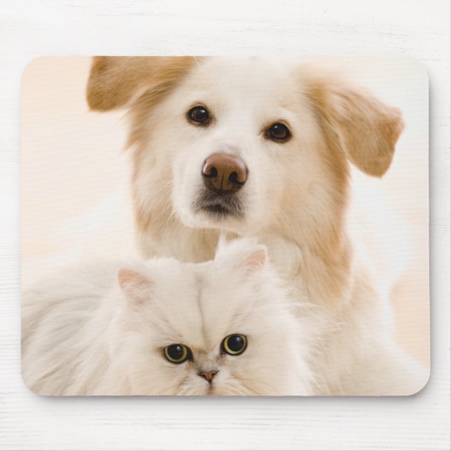 Mousepad Estúdio de gato e cão (Frente)