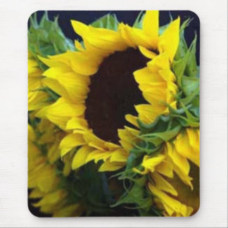Mousepad Estudo de Sunfllower pelo debbieophotography