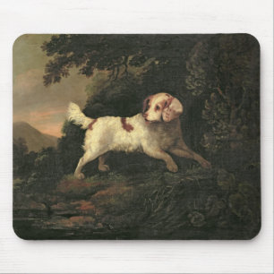 Mousepad Estudo do Spaniel de Clumber